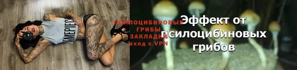 крисы Бронницы