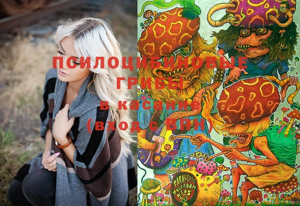 ешки Волосово