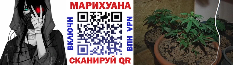 Шишки марихуана SATIVA & INDICA  площадка как зайти  Камбарка 